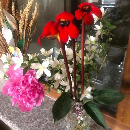 L&A Guest House Goris Εξωτερικό φωτογραφία